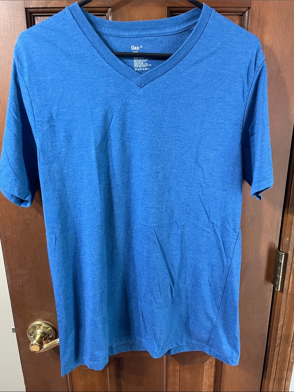 GAP Men's V-Neck Tee in Royal Blue
